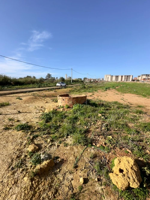 Vente Terrain Tipaza Bou ismail