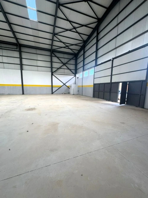 Location Hangar - Usine Alger Ouled chebel