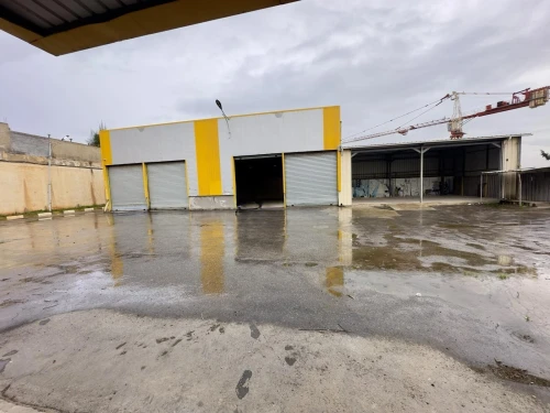 Vente Hangar - Usine Tipaza Kolea