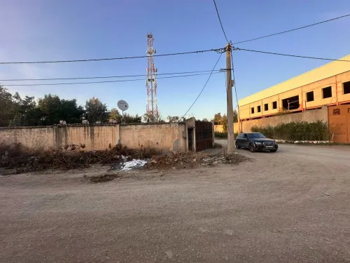 Vente Terrain Blida Bouinan
