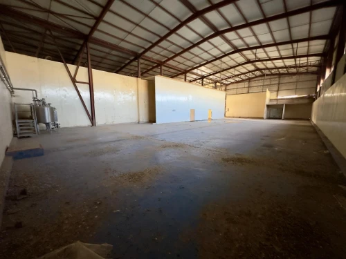 Location Hangar - Usine Tipaza Fouka