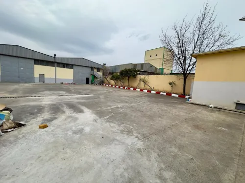 Location Hangar - Usine Blida Blida