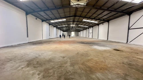 Location Hangar Blida Beni tamou