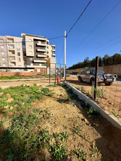 Vente Terrain Tipaza Bou ismail