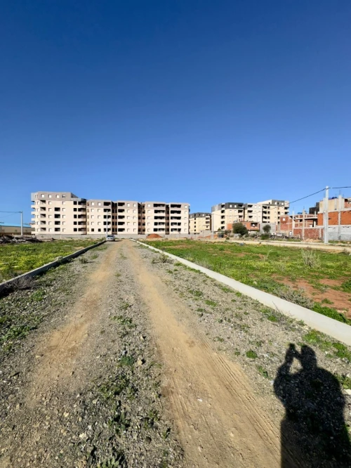Vente Terrain Tipaza Bou ismail