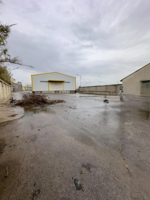 Vente Hangar - Usine Tipaza Kolea