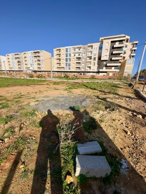 Vente Terrain Tipaza Bou ismail