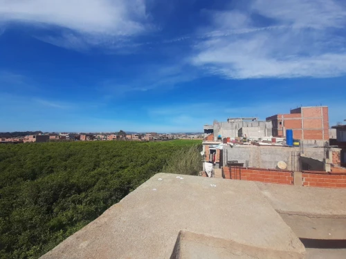 Vente Villa Blida Ouled el alleug