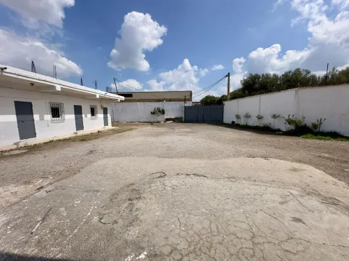 Location Hangar - Usine Blida Guerrouaou