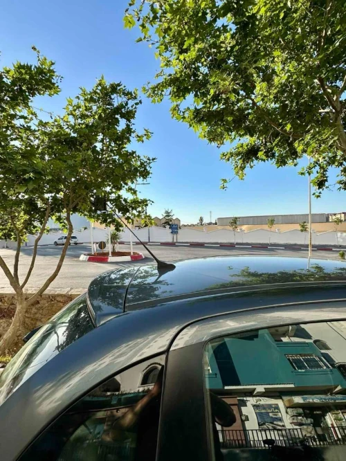 Vente Appartement F3 Tipaza Tipaza