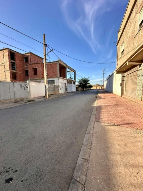 Location Hangar - Usine Blida Beni tamou