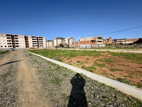 Vente Terrain Tipaza Bou ismail