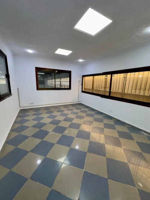 Location Hangar - Usine Blida Blida