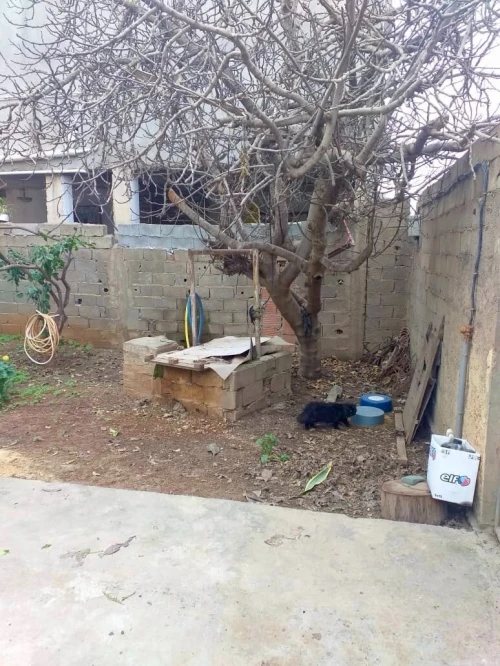 Vente Villa Boumerdès Hammedi