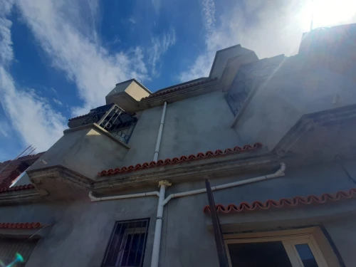Vente Villa Blida Ouled el alleug