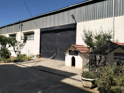 Location Hangar - Usine Tipaza Bou ismail