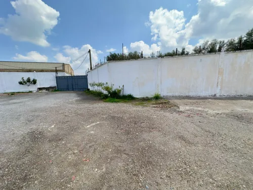Location Hangar - Usine Blida Guerrouaou