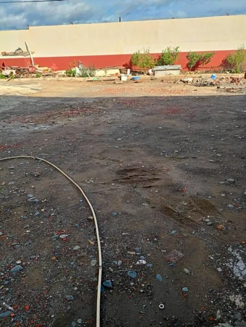 Location Hangar - Usine Blida Chiffa