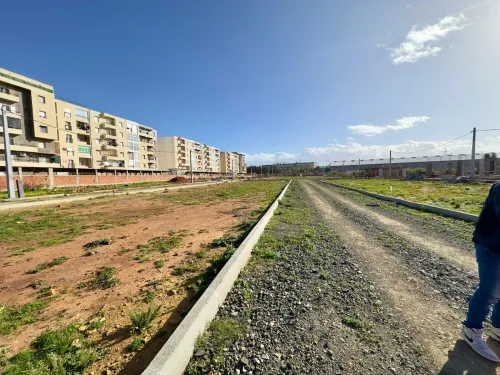 Vente Terrain Tipaza Bou ismail