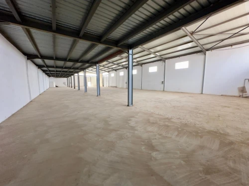 Location Hangar - Usine Alger Tessala el merdja
