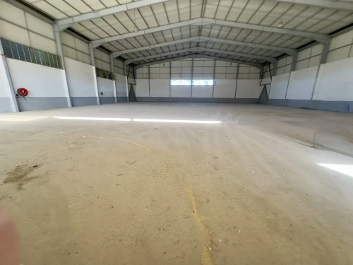 Location Hangar - Usine Blida Blida
