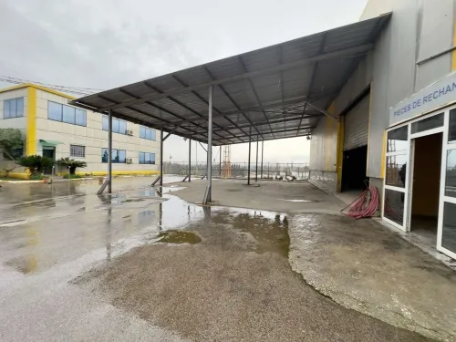 Vente Hangar - Usine Tipaza Kolea