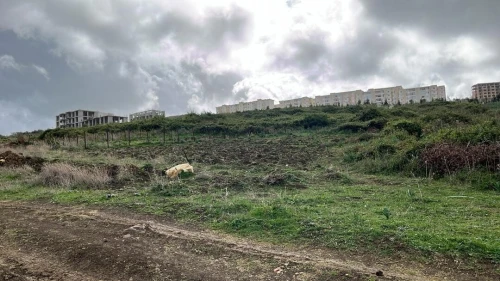 Vente Terrain Boumerdès Dellys