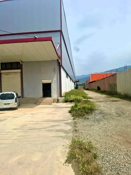 Location Hangar - Usine Blida Chiffa