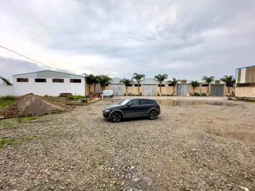 Location Hangar - Usine Blida Beni tamou