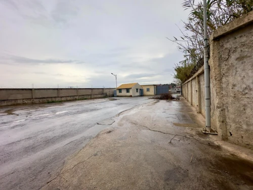 Vente Hangar - Usine Tipaza Kolea