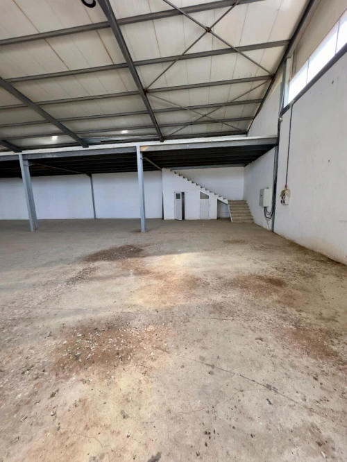 Location Hangar - Usine Alger Tessala el merdja