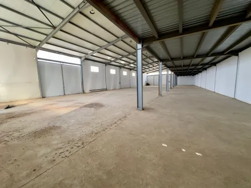 Location Hangar - Usine Alger Tessala el merdja