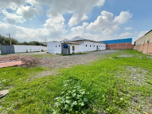 Location Hangar - Usine Blida Guerrouaou