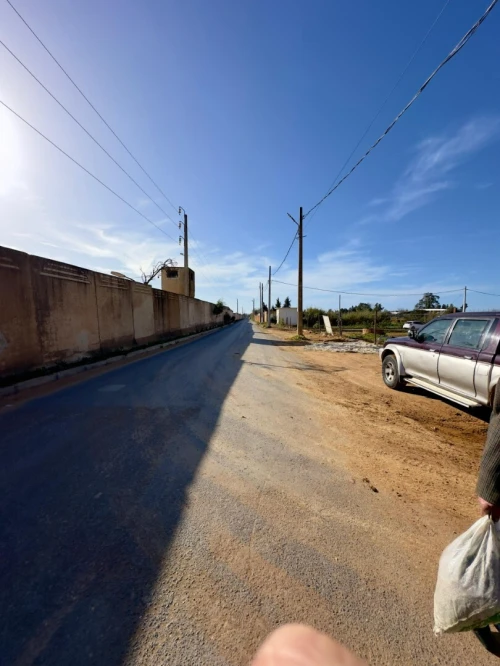 Vente Terrain Tipaza Bou ismail