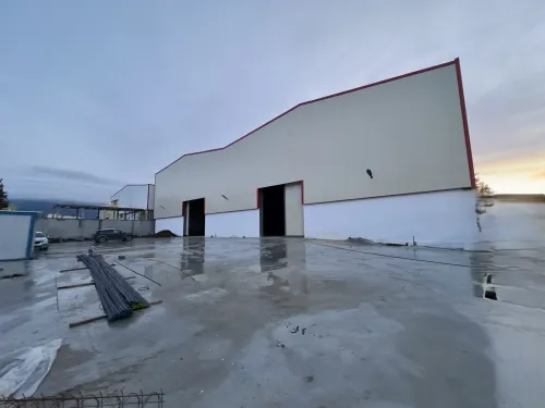 Location Hangar - Usine Blida Boufarik