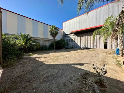 Location Hangar - Usine Blida Blida