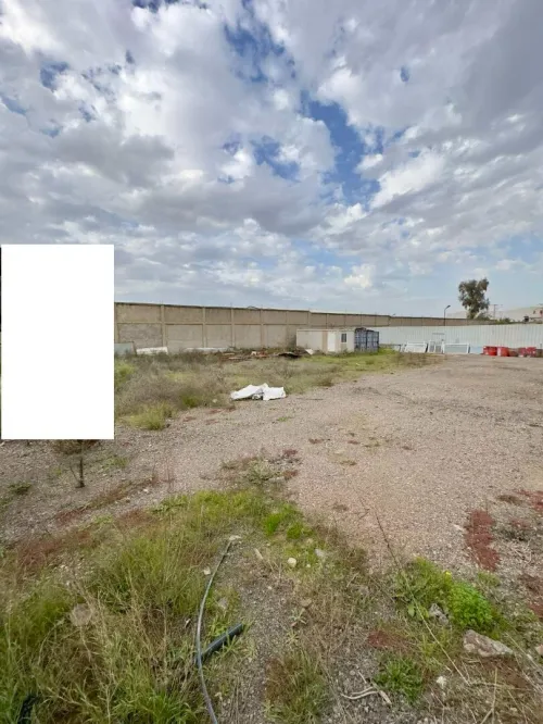 Location Hangar - Usine Blida Ouled el alleug