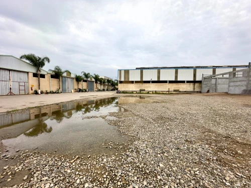 Location Hangar - Usine Blida Beni tamou