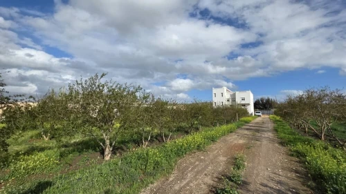 Vente Terrain Agricole Mostaganem El hassiane