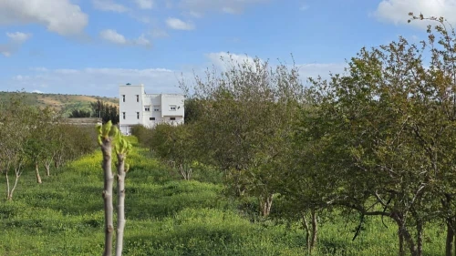 Vente Terrain Agricole Mostaganem El hassiane