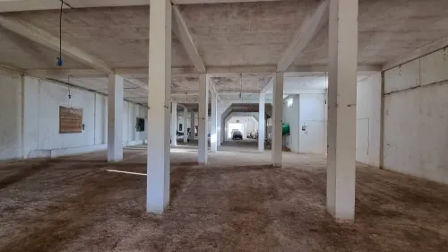 Vente Terrain Agricole Mostaganem El hassiane