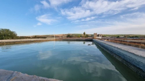 Vente Terrain Agricole Mostaganem Sirat