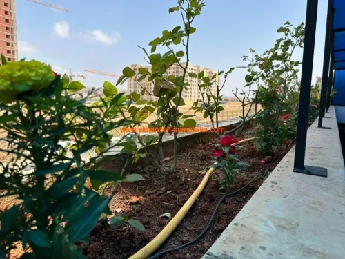 Location vacances Appartement F3 Oran Oran