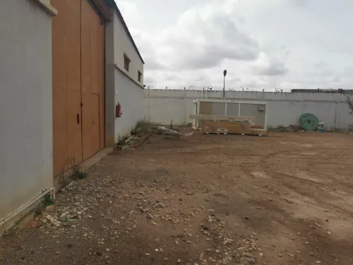 Vente Hangar - Usine Oran Misseghine