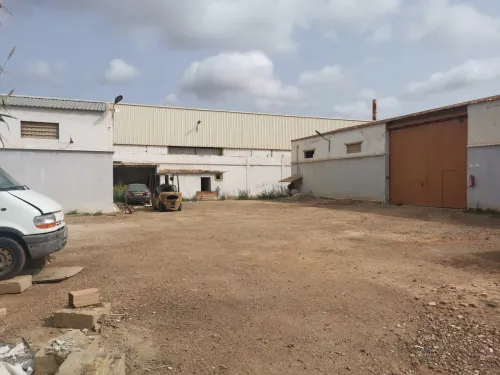 Vente Hangar - Usine Oran Misseghine