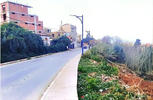 Vente Terrain Tipaza Khemisti