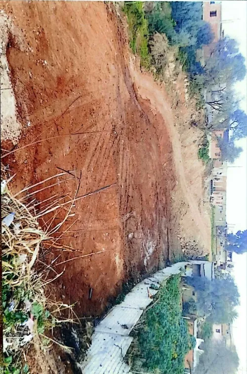 Vente Terrain Tipaza Khemisti