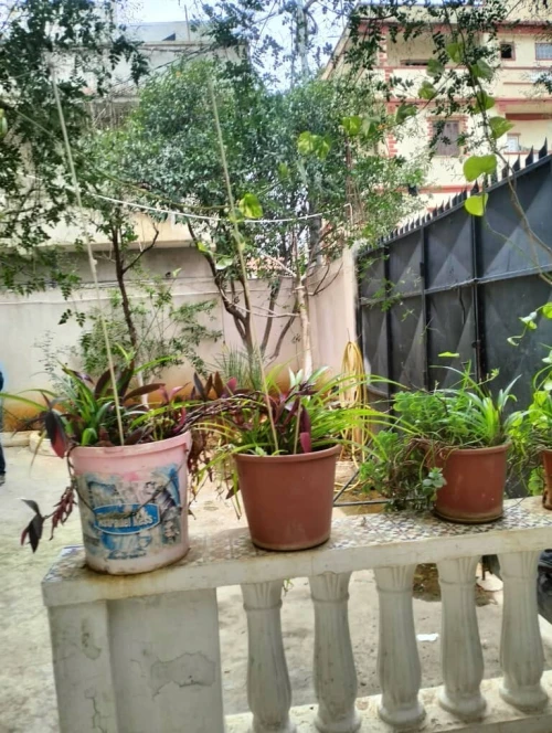 Vente Villa Alger Dar el beida