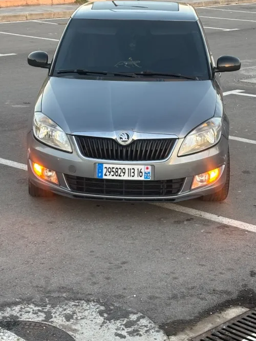 Skoda Fabia 2013 Fresh