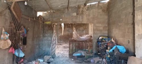 Vente Appartement Sidi Bel Abbès Ain el berd